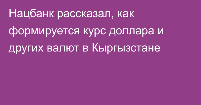 Нацбанк рассказал, как формируется курс доллара и других валют в Кыргызстане
