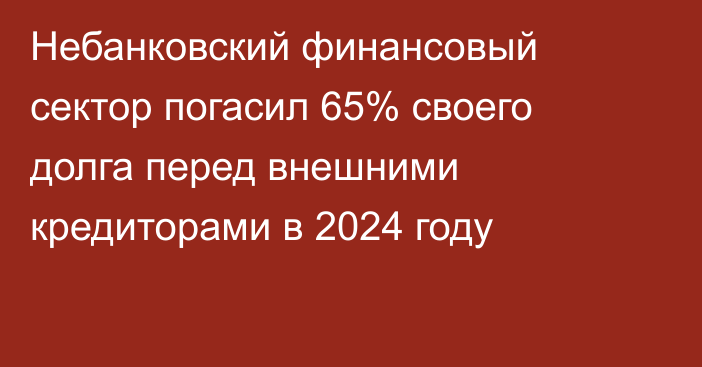 Небанковский финансовый сектор погасил 65% своего долга перед внешними кредиторами в 2024 году