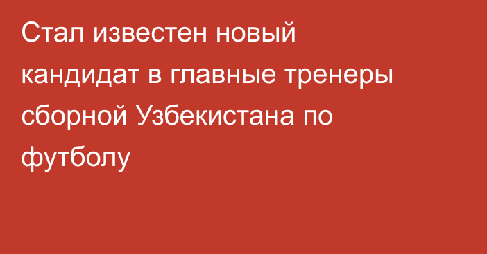Стал известен новый кандидат в главные тренеры сборной Узбекистана по футболу