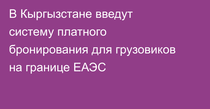 В Кыргызстане введут систему платного бронирования для грузовиков на границе ЕАЭС