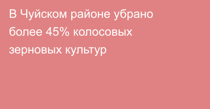 В Чуйском районе убрано более 45% колосовых зерновых культур