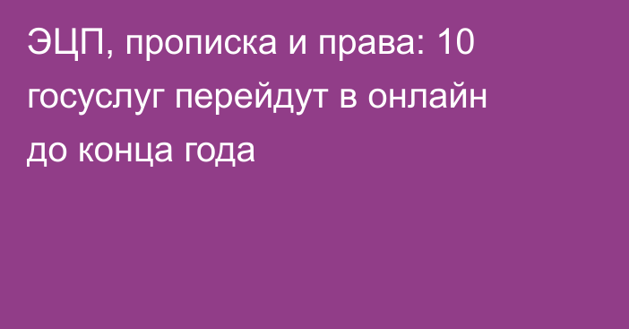 ЭЦП, прописка и права: 10 госуслуг перейдут в онлайн до конца года