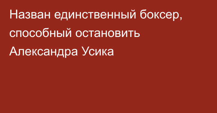 Назван единственный боксер, способный остановить Александра Усика