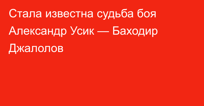 Стала известна судьба боя Александр Усик — Баходир Джалолов