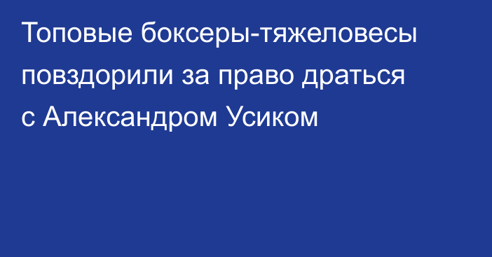 Топовые боксеры-тяжеловесы повздорили за право драться с Александром Усиком