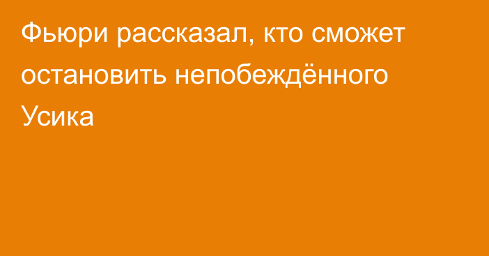 Фьюри рассказал, кто сможет остановить непобеждённого Усика