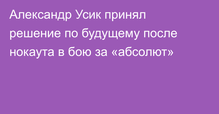 Александр Усик принял решение по будущему после нокаута в бою за «абсолют»