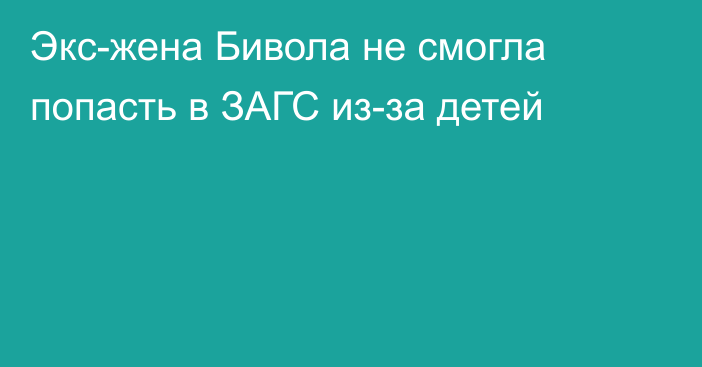 Экс-жена Бивола не смогла попасть в ЗАГС из-за детей