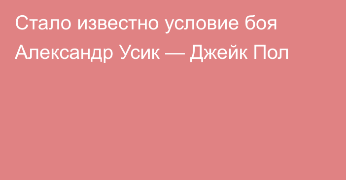 Стало известно условие боя Александр Усик — Джейк Пол
