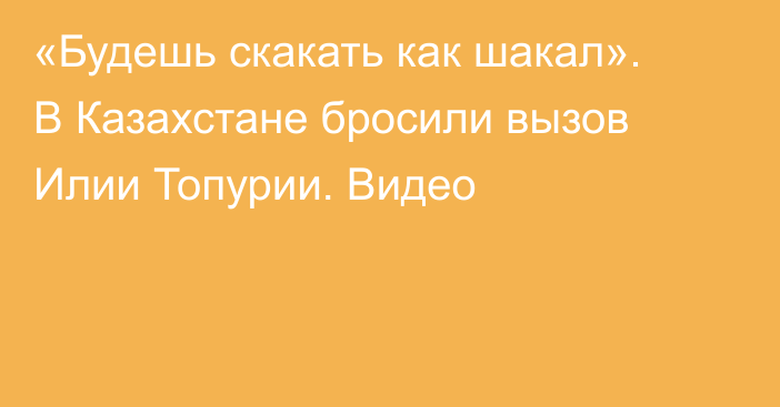 «Будешь скакать как шакал». В Казахстане бросили вызов Илии Топурии. Видео