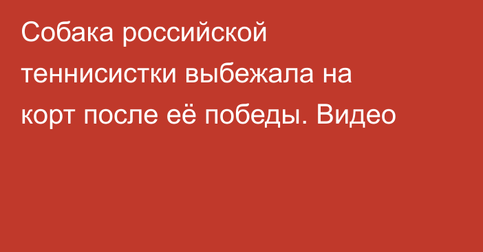 Собака российской теннисистки выбежала на корт после её победы. Видео