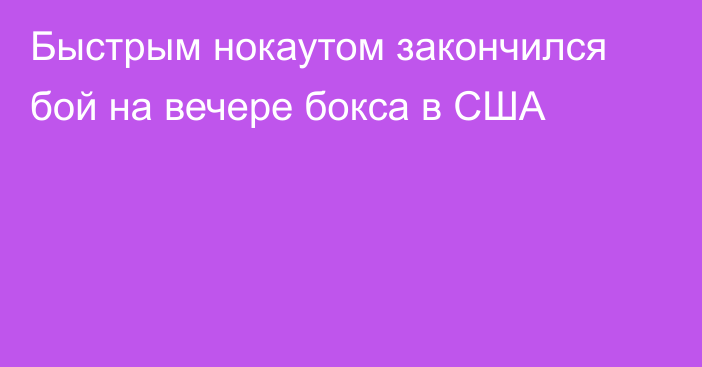 Быстрым нокаутом закончился бой на вечере бокса в США