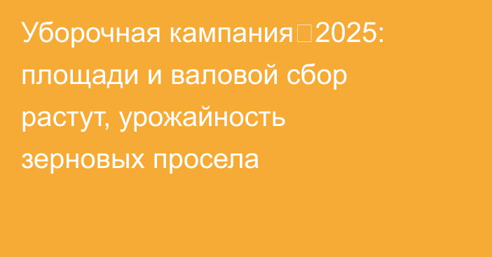 Уборочная кампания‑2025: площади и валовой сбор растут, урожайность зерновых просела