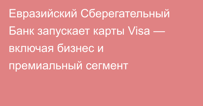 Евразийский Сберегательный Банк запускает карты Visa — включая бизнес и премиальный сегмент 