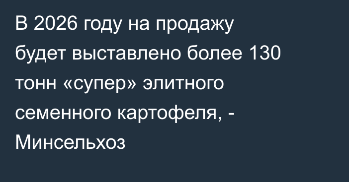В 2026 году на продажу будет выставлено более 130 тонн «супер» элитного семенного картофеля, - Минсельхоз