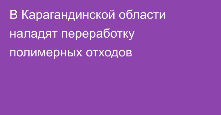В Карагандинской области наладят переработку полимерных отходов