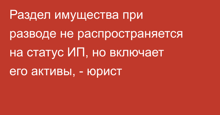 Раздел имущества при разводе не распространяется на статус ИП, но включает его активы, - юрист