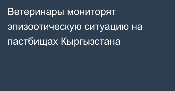 Ветеринары мониторят эпизоотическую ситуацию на пастбищах Кыргызстана