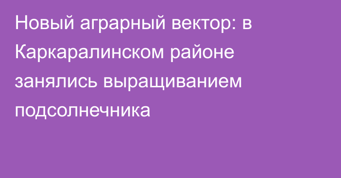 Новый аграрный вектор: в Каркаралинском районе занялись выращиванием подсолнечника