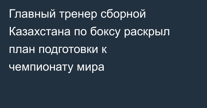 Главный тренер сборной Казахстана по боксу раскрыл план подготовки к чемпионату мира