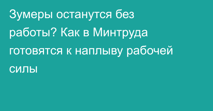 Зумеры останутся без работы? Как в Минтруда готовятся к наплыву рабочей силы
