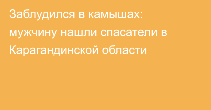 Заблудился в камышах: мужчину нашли спасатели в Карагандинской области