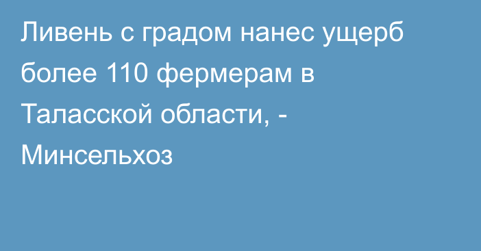 Ливень с градом нанес ущерб более 110 фермерам в Таласской области, - Минсельхоз