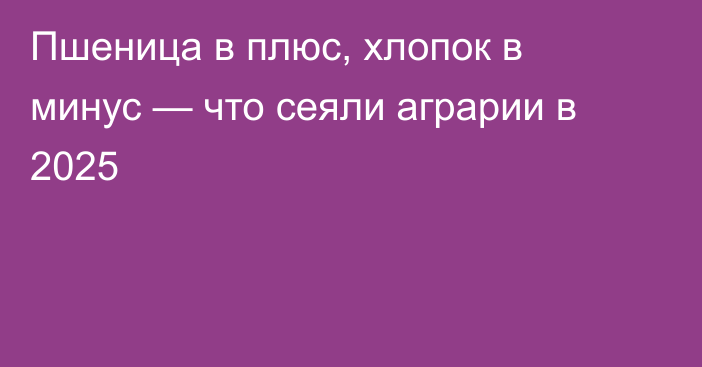 Пшеница в плюс, хлопок в минус — что сеяли аграрии в 2025