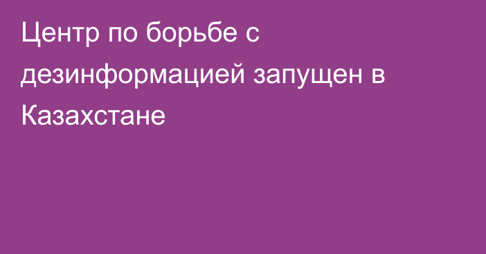 Центр по борьбе с дезинформацией запущен в Казахстане