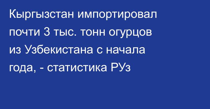 Кыргызстан импортировал почти 3 тыс. тонн огурцов из Узбекистана с начала года, - статистика РУз