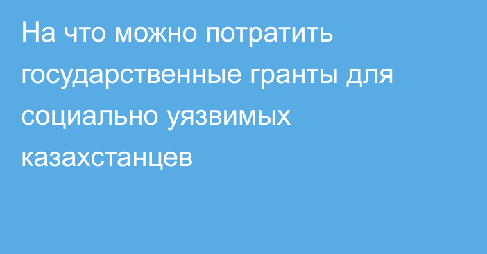 На что можно потратить государственные гранты для социально уязвимых казахстанцев