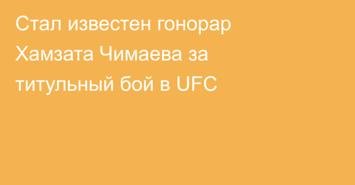 Стал известен гонорар Хамзата Чимаева за титульный бой в UFC