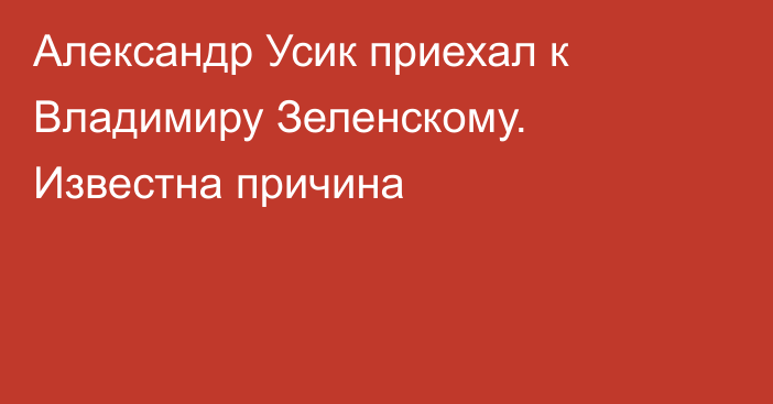 Александр Усик приехал к Владимиру Зеленскому. Известна причина