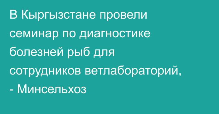 В Кыргызстане провели семинар по диагностике болезней рыб для сотрудников ветлабораторий, - Минсельхоз