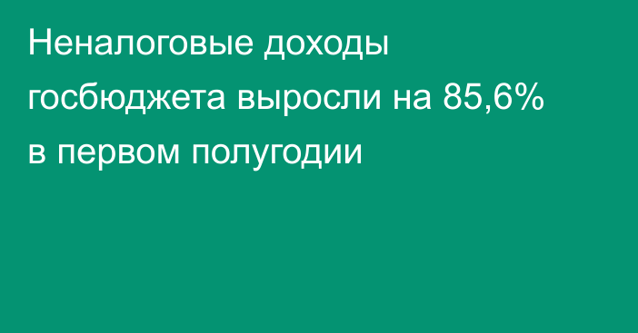 Неналоговые доходы госбюджета выросли на 85,6% в первом полугодии