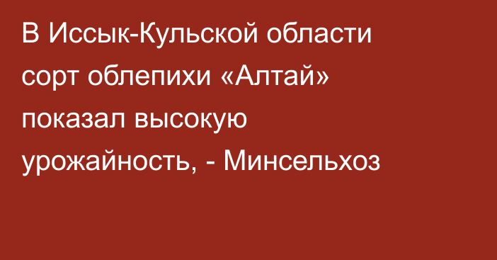 В Иссык-Кульской области сорт облепихи «Алтай» показал высокую урожайность, -  Минсельхоз