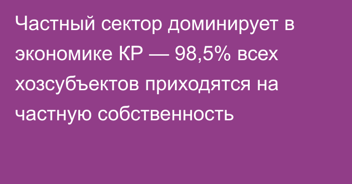 Частный сектор доминирует в экономике КР —  98,5% всех хозсубъектов приходятся на частную собственность