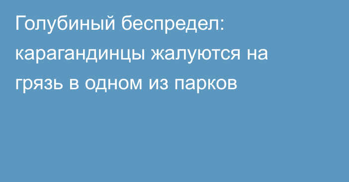Голубиный беспредел: карагандинцы жалуются на грязь в одном из парков