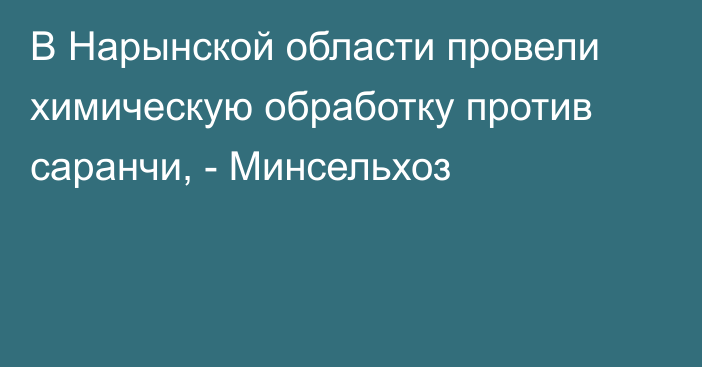 В Нарынской области провели химическую обработку против саранчи, - Минсельхоз