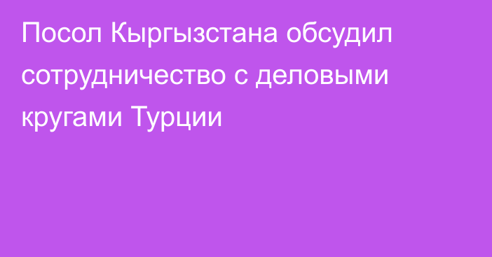Посол Кыргызстана обсудил сотрудничество с деловыми кругами Турции