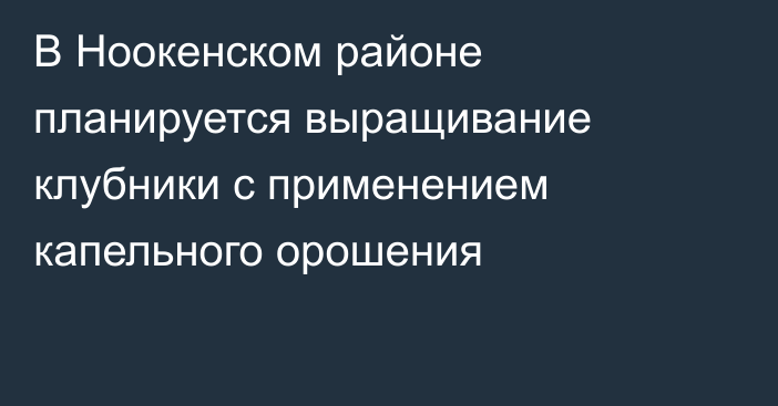 В Ноокенском районе планируется выращивание клубники с применением капельного орошения