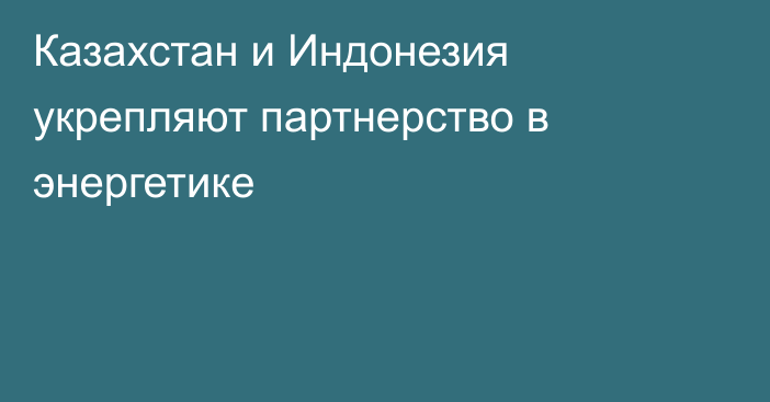 Казахстан и Индонезия укрепляют партнерство в энергетике