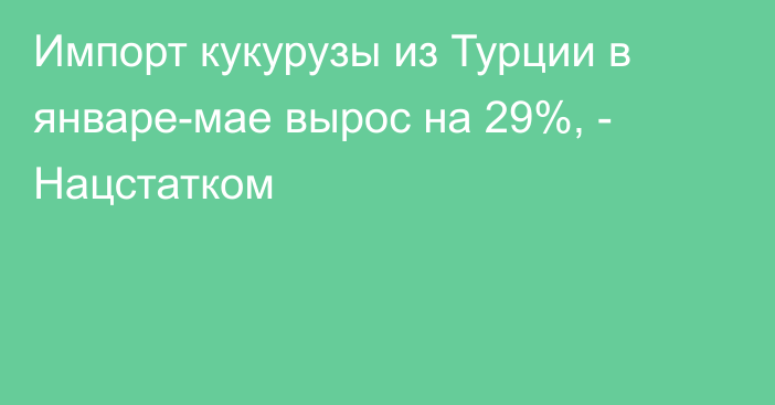 Импорт кукурузы из Турции в январе-мае вырос на 29%, - Нацстатком