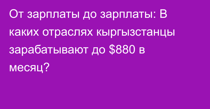 От зарплаты до зарплаты: В каких отраслях кыргызстанцы зарабатывают до $880 в месяц?