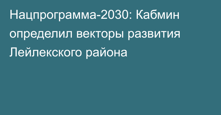 Нацпрограмма-2030: Кабмин определил векторы развития Лейлекского района