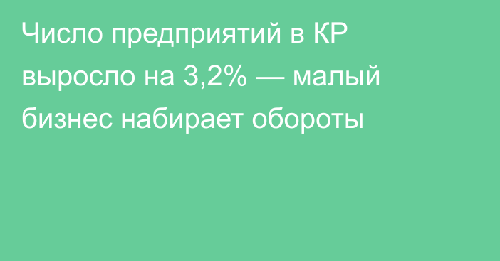 Число предприятий в КР выросло на 3,2% — малый бизнес набирает обороты