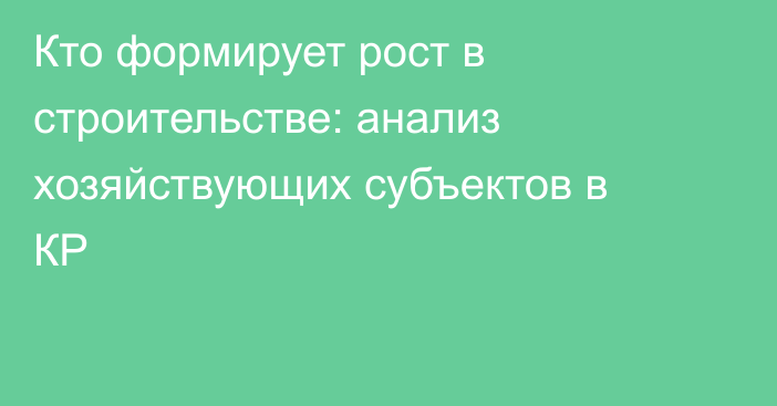 Кто формирует рост в строительстве: анализ хозяйствующих субъектов в КР