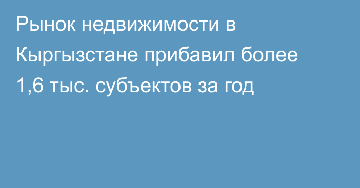Рынок недвижимости в Кыргызстане прибавил более 1,6 тыс. субъектов за год