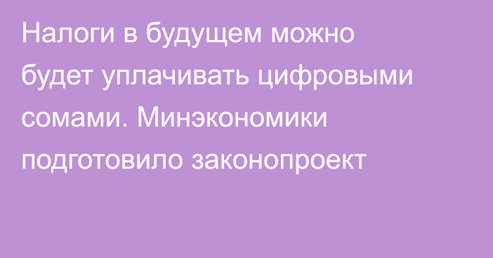 Налоги в будущем можно будет уплачивать цифровыми сомами. Минэкономики подготовило законопроект