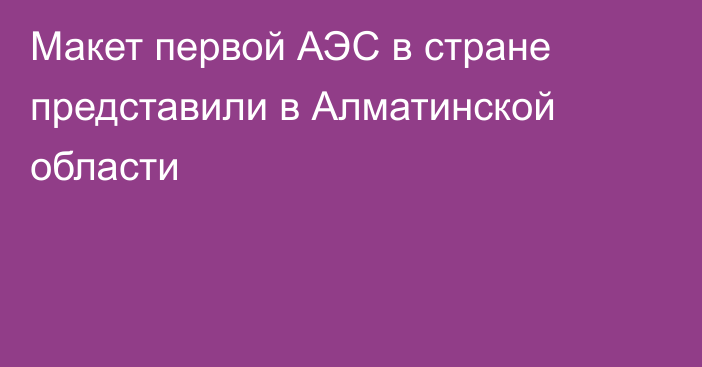 Макет первой АЭС в стране представили в Алматинской области